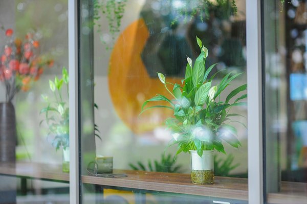 Croisières fluviales en france : découvrez la magie